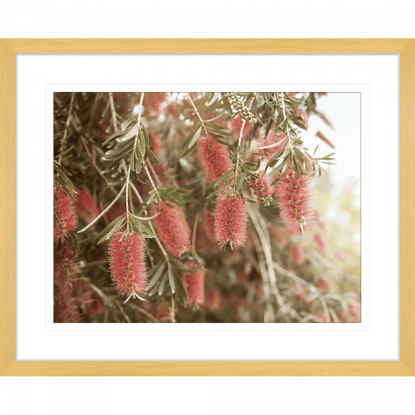Australian Native Wall Art - Outback Oasis 03 - Standard Collection