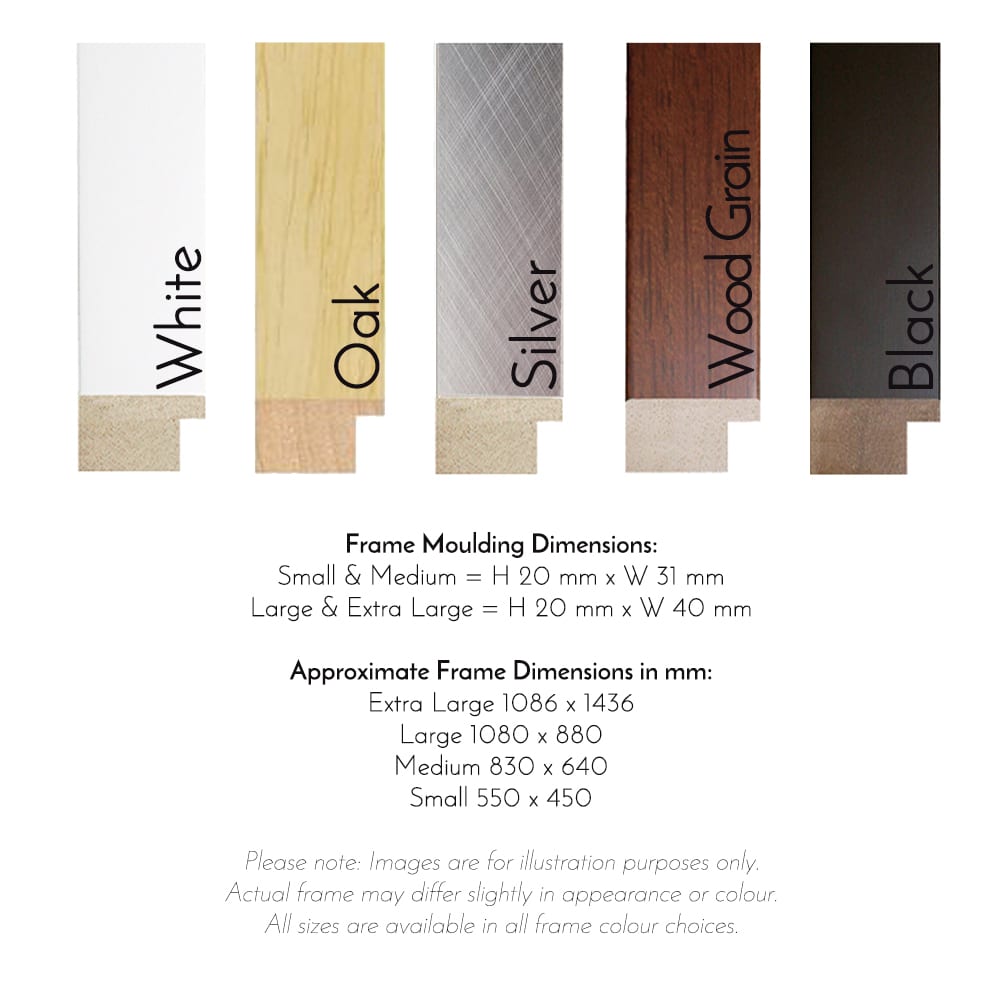 Australian Native Flower Wall Art Studio Collection Frames