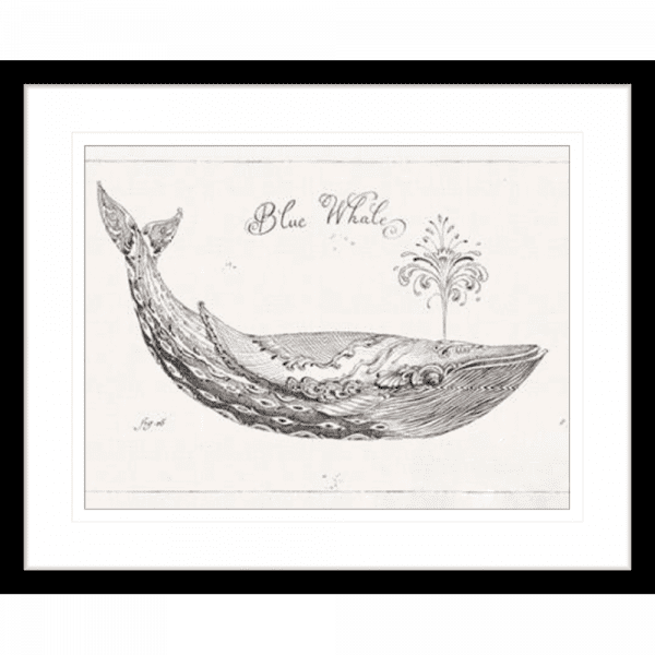 Black and White Wall Art Australia - Underwater Life 01 - Platinum Collection in black frame