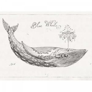 Black and White Wall Art Australia - Underwater Life 01 - Platinum Collection on canvas