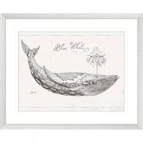 Black and White Wall Art Australia - Underwater Life 01 - Platinum Collection in silver frame