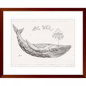 Black and White Wall Art Australia - Underwater Life 01 - Platinum Collection in wood frame