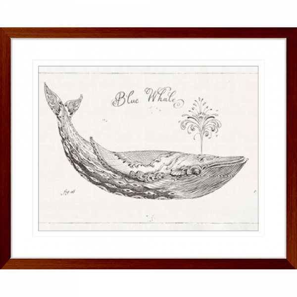 Black and White Wall Art Australia - Underwater Life 01 - Platinum Collection in wood frame