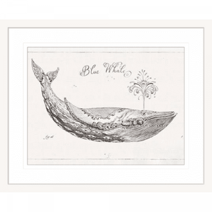 Black and White Wall Art Australia - Underwater Life 01 - Platinum Collection in white frame