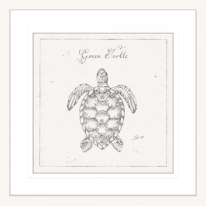 Marine Wall Art - Underwater Life 05 - Platinum Collection. Featuring a hand drawn  black and white image of a large green turtle - in white frame