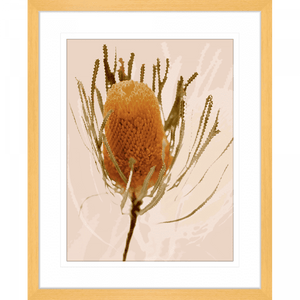 Australian Native Flower Wall Art - Bud Bloom 01 from the Standard Collection, in a cashew frame, featuring vibrant native flowers in a stunning design.