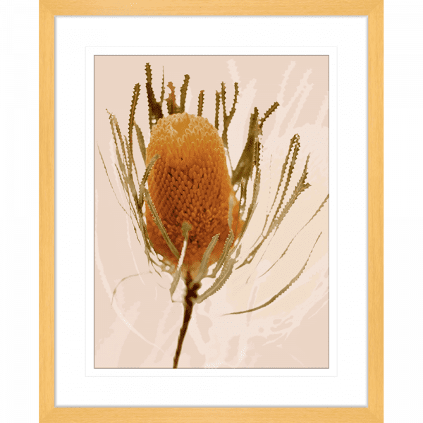 Australian Native Flower Wall Art - Bud Bloom 01 from the Standard Collection, in a cashew frame, featuring vibrant native flowers in a stunning design.