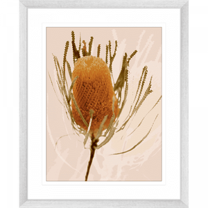 Australian Native Flower Wall Art - Bud Bloom 01 from the Standard Collection, in a silver frame, featuring vibrant native flowers in a stunning design.