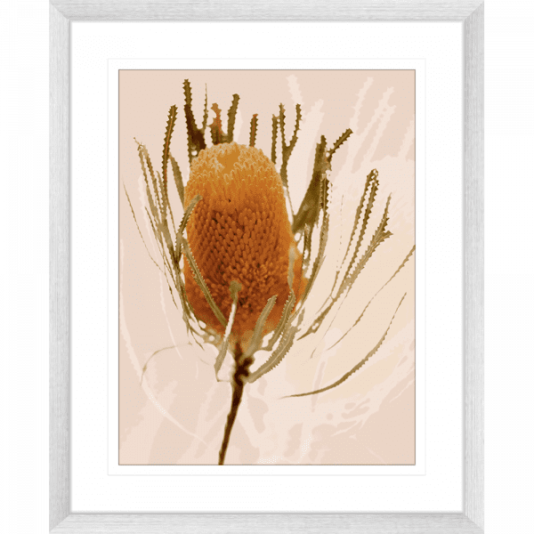 Australian Native Flower Wall Art - Bud Bloom 01 from the Standard Collection, in a silver frame, featuring vibrant native flowers in a stunning design.