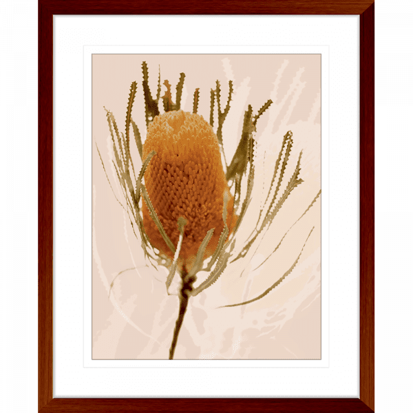 Australian Native Flower Wall Art - Bud Bloom 01 from the Standard Collection, in a wood frame, featuring vibrant native flowers in a stunning design.