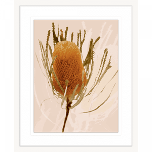 Australian Native Flower Wall Art - Bud Bloom 01 from the Standard Collection, in a white frame, featuring vibrant native flowers in a stunning design.