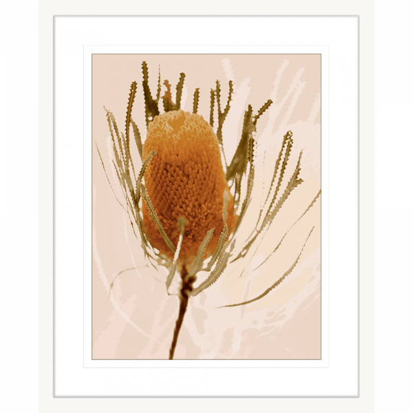 Australian Native Flower Wall Art - Bud Bloom 01 from the Standard Collection, in a white frame, featuring vibrant native flowers in a stunning design.