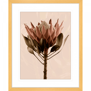 Australian Native Flower Wall Art, Featuring a single blooming Australian flower in soft pinks and green tones, again a dusty pink background, Gold framed