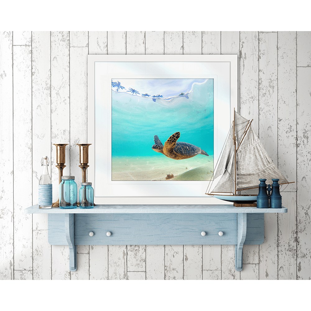 Coastal Wall Art Turtle picture - By The Seaside 05 - Standard Collection mounted in Nautical style