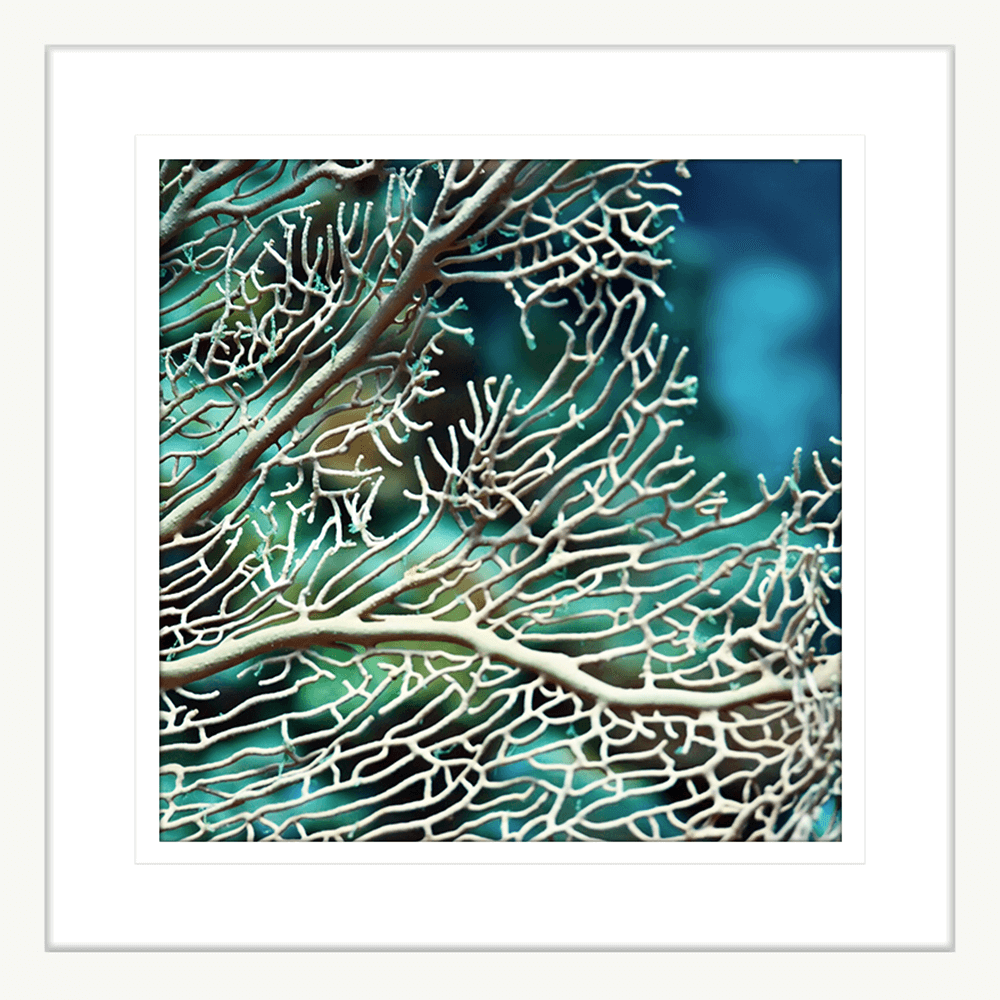 Coral Coastal Wall Art Australia - By The Seaside 15 - Standard Collection in white frame