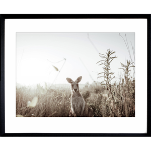 Australia Wall Art - Heritage 01 - Studio Collection