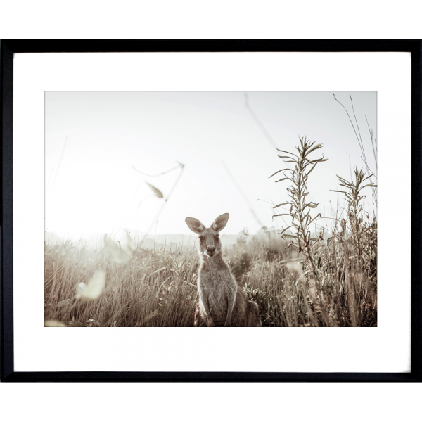 Australia Wall Art - Heritage 01 - Studio Collection