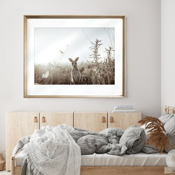 Kangaroo Photo by the Australia Wall Art - Heritage 01 Studio Collection wall mounted