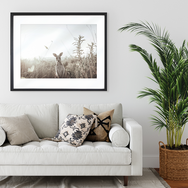 Kangaroo Photo by the Australia Coastal Wall Art - Heritage 01 Studio Collection wall mounted in black frame