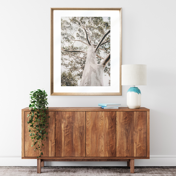 Gum Tree Photo by the Australia Wall Art - Heritage 02 Studio CollectionGum Tree Photo by the Australia Wall Art - Heritage 02 Studio Collection wall mounted in hallway