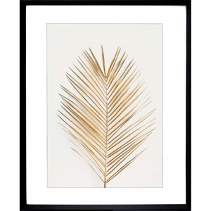 Tropical Wall Art - Golden Fronds 01 – Studio Collection