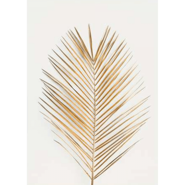 Tropical Wall Art - Golden Fronds 01 – Studio Collection