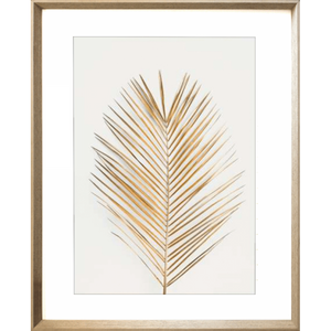 Tropical Wall Art - Golden Fronds 01 – Studio Collection