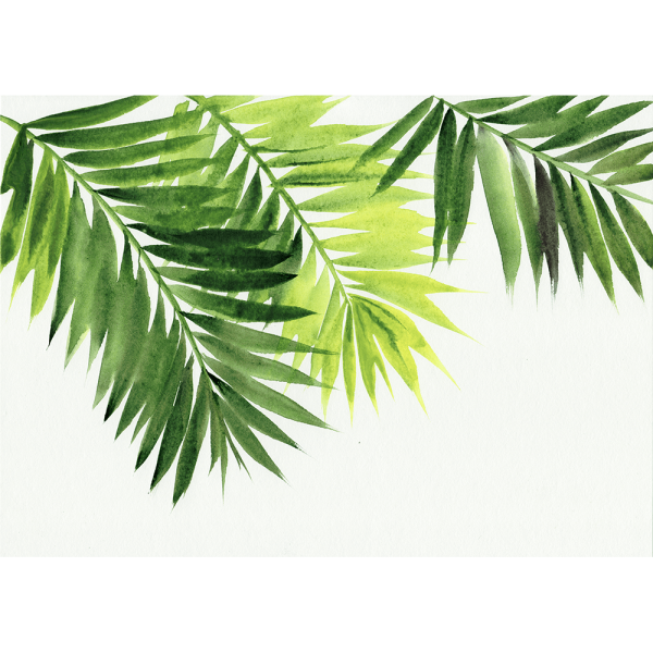 Palm Tree Wall Art - Imagined Oasis 01 – Studio Collection