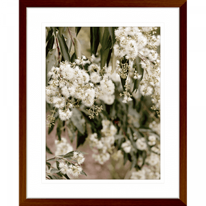 Wattle Tree Photo by the Australia Wall Art - Outback Oasis 02 Standard Collection in wood frame