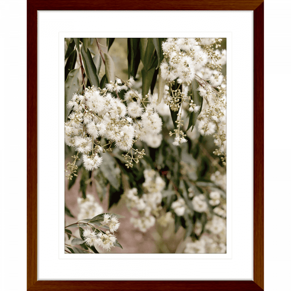 Wattle Tree Photo by the Australia Wall Art - Outback Oasis 02 Standard Collection in wood frame