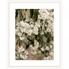 Wattle Tree Photo by the Australia Wall Art - Outback Oasis 02 Standard Collection on white frame