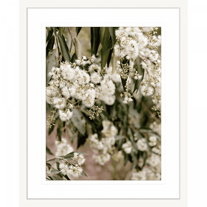 Wattle Tree Photo by the Australia Wall Art - Outback Oasis 02 Standard Collection on white frame