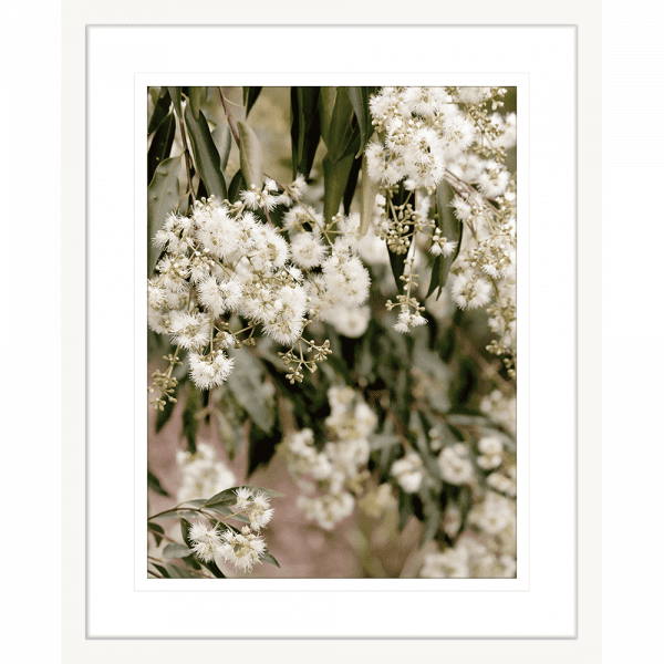 Wattle Tree Photo by the Australia Wall Art - Outback Oasis 02 Standard Collection on white frame