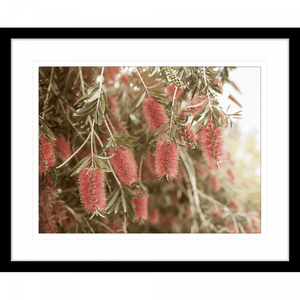 Australian Native Wall Art - Outback Oasis 03 - Standard Collection