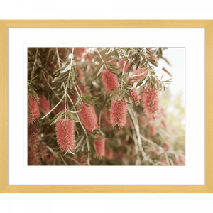 Australian Native Wall Art - Outback Oasis 03 - Standard Collection