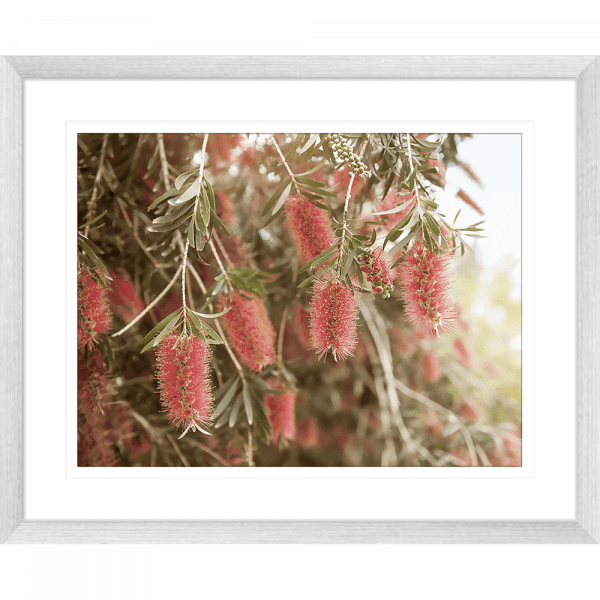 Australian Native Wall Art - Outback Oasis 03 - Standard Collection