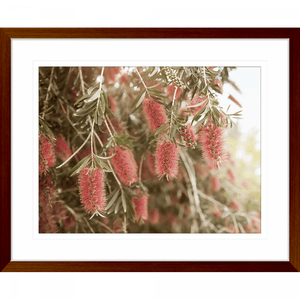 Australian Native Wall Art - Outback Oasis 03 - Standard Collection