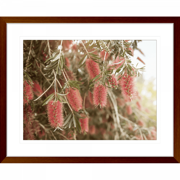 Australian Native Wall Art - Outback Oasis 03 - Standard Collection