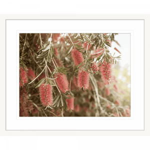 Australian Native Wall Art - Outback Oasis 03 - Standard Collection