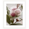 Australian Native Flower Wall Art - Outback Oasis 07 Standard Collection in white frame