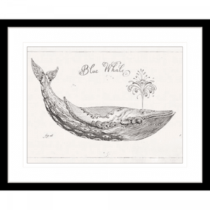 Black and White Wall Art Australia - Underwater Life 01 - Platinum Collection in black frame