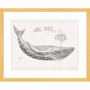 Black and White Wall Art Australia - Underwater Life 01 - Platinum Collection in oak frame