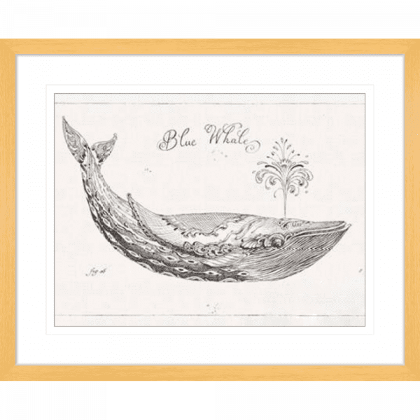 Black and White Wall Art Australia - Underwater Life 01 - Platinum Collection in oak frame