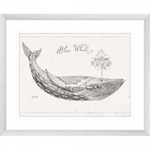 Black and White Wall Art Australia - Underwater Life 01 - Platinum Collection in silver frame