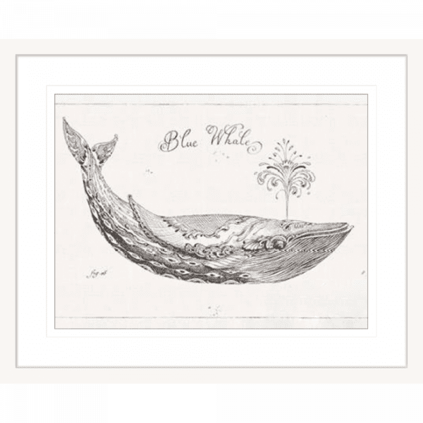 Black and White Wall Art Australia - Underwater Life 01 - Platinum Collection in white frame