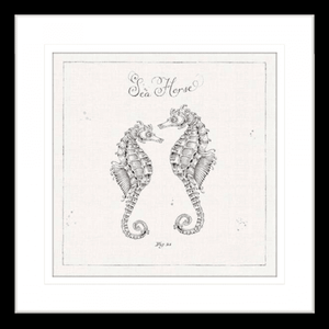 Black and White Wall Art Australia - Underwater Life 02- Platinum Collection of two hand drawn seahorses - in black frame