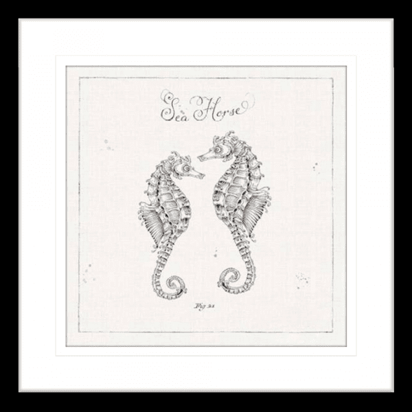 Black and White Wall Art Australia - Underwater Life 02- Platinum Collection of two hand drawn seahorses - in black frame