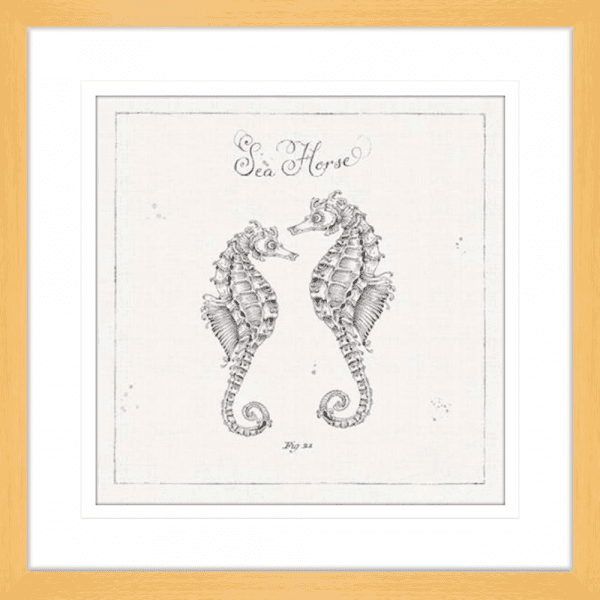 Black and White Wall Art Australia - Underwater Life 02- Platinum Collection of two hand drawn seahorses - in oak frame