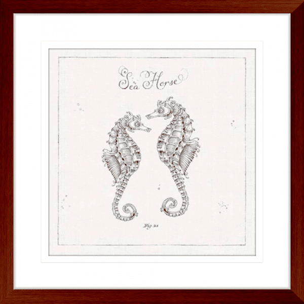 Black and White Wall Art Australia - Underwater Life 02- Platinum Collection of two hand drawn seahorses - in wood frame