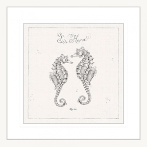 Black and White Wall Art Australia - Underwater Life 02- Platinum Collection of two hand drawn seahorses - in white frame